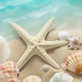 thumbnail image 6 of BANET Summer Starfish Round Tablecloth Washable,Seashell San Beach Circular Polyester Table Cloths Cover Tablecloth for Kitchen Dinning Tabletop Decoration 46"-50, 6 of 8