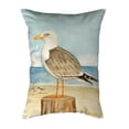 thumbnail image 2 of Betsy Drake KS271 11 x 14 in. Dicks Seagull Small No-Cord Pillow, 2 of 2