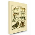 thumbnail image 2 of The Stupell Home Decor Collection Big Cats Wildlife Illustration Wall Art, 2 of 6
