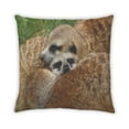 thumbnail image 2 of Ahgly Company Animals Meerkat Indoor Throw Pillow, 18 inch by 18 inch, 2 of 6