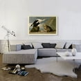 thumbnail image 2 of ARTCANVAS King Duck Canvas Art Print by John James Audubon - Size: 40" x 26" (0.75" Deep), 2 of 9