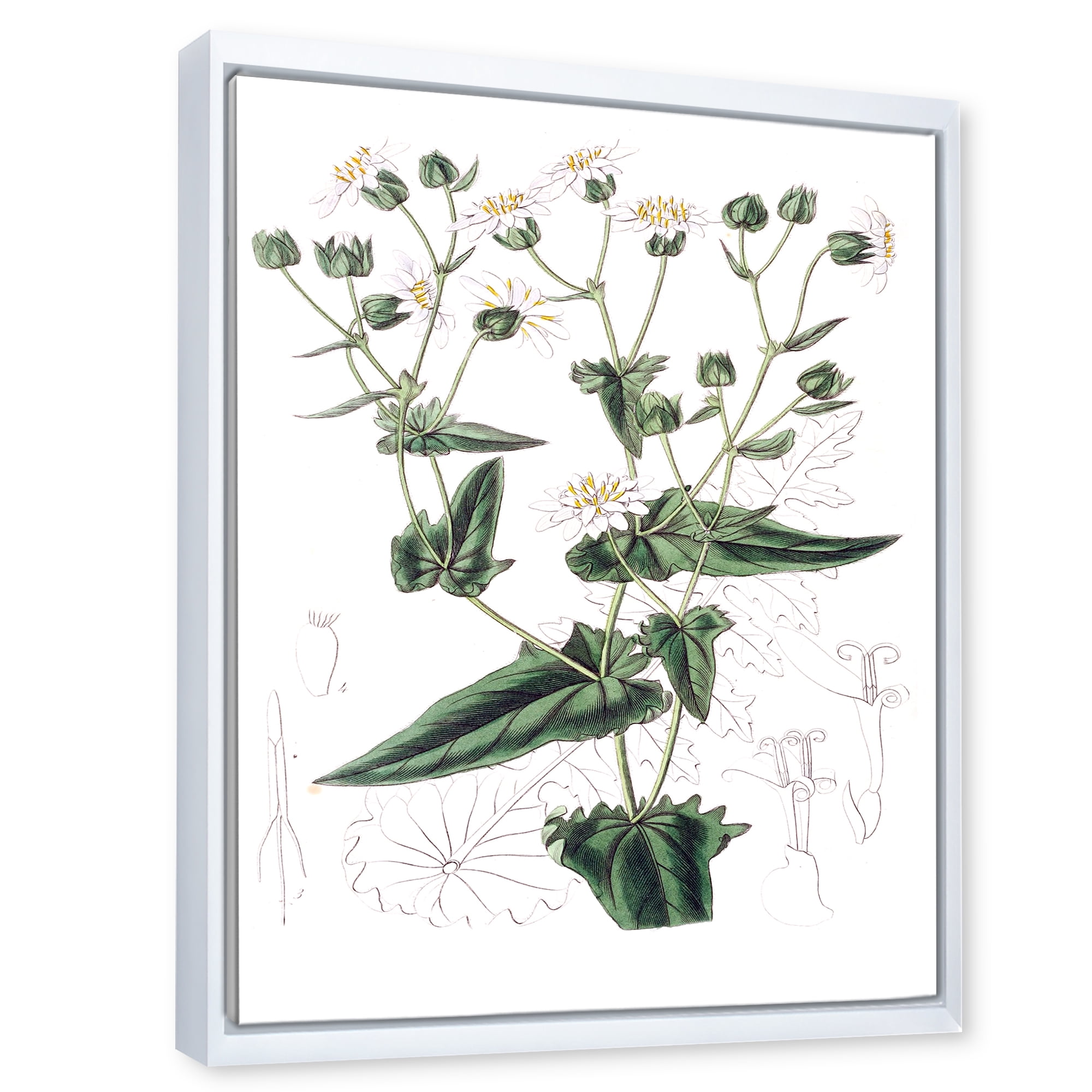 Ancient Plant Life XXII 16 in x 32 in Framed Painting Canvas Art Print, by Designart
