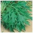 thumbnail image 4 of Everwilde Farms - 1000 Organic Mizuna Chinese Cabbage Seeds - Gold Vault Jumbo Bulk Seed Packet, 4 of 5