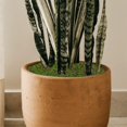 thumbnail image 4 of HLONK Artificial Moss Turf Fake Grass Decor Lawn for Home Plant Wall Green Crafts Micro Scene, 4 of 6
