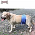 thumbnail image 2 of Perro macho envuelto en pañales, talla M 10 piezas, 2 of 2