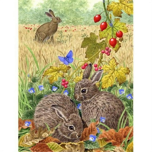 Leverets And Rabbit Flag Canvas House Size