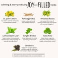thumbnail image 4 of Happy Healthy Hippie Joy-Filled Mood Support Supplement with St. John's Wort, 60 Capsules, 4 of 6
