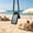 Black, variant on Xheghe Waterproof Phone Pouch 2-in-1 Dry Bag with Card Holders, IPX8 Underwater Case with Adjustable Lanyard for Swimming, Snorkeling, Beach Trips and Outdoor Activities