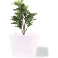 thumbnail image 3 of Maceta Plastico Resistente Cuadrada con Drenaje, 40 x 35 cm blanco 15 cm x 15 cm Elly Decor ED-MCP01WH, 3 of 9