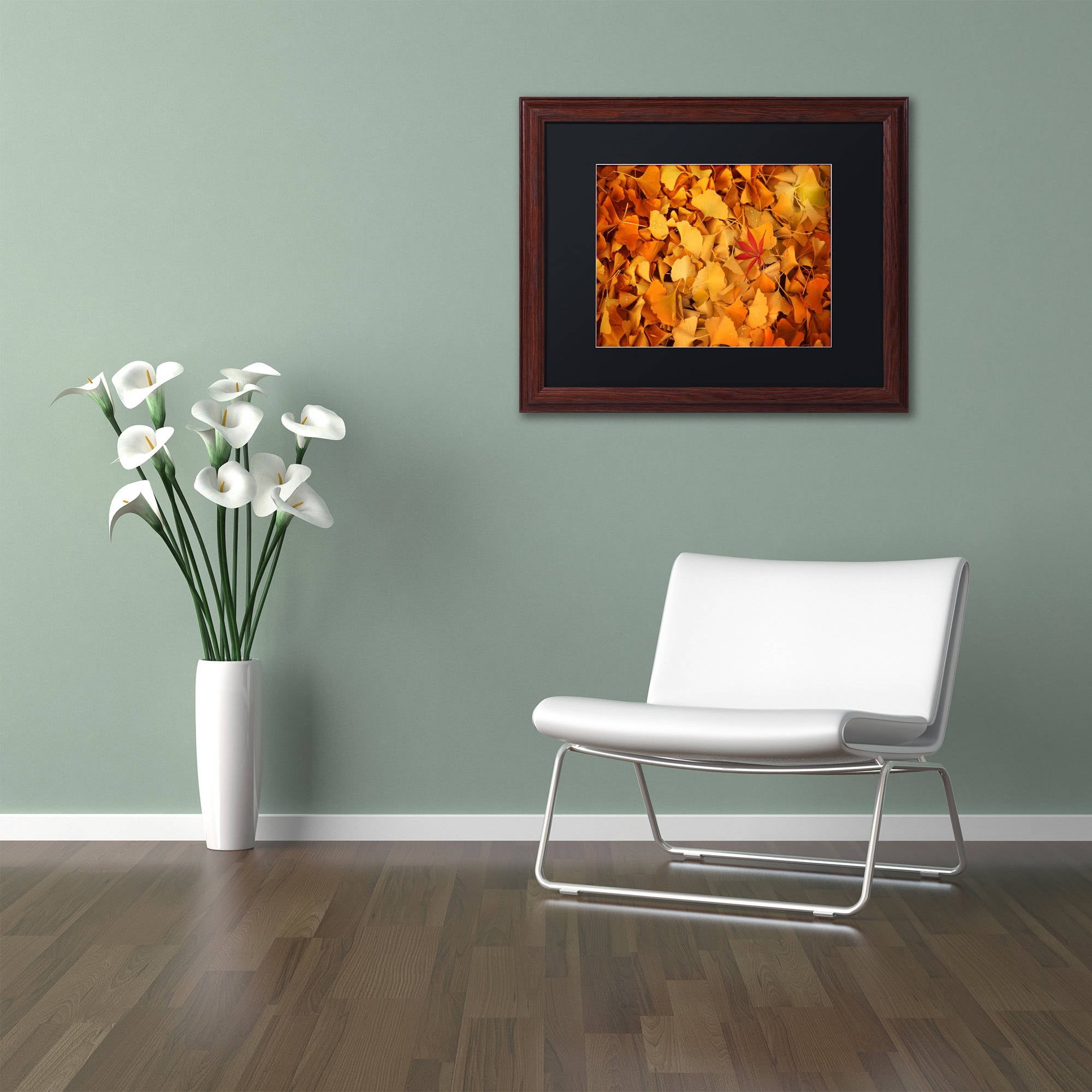 Trademark Fine Art "Variegated" Canvas Art by Philippe Sainte-Laudy Black Matte, Wood Frame
