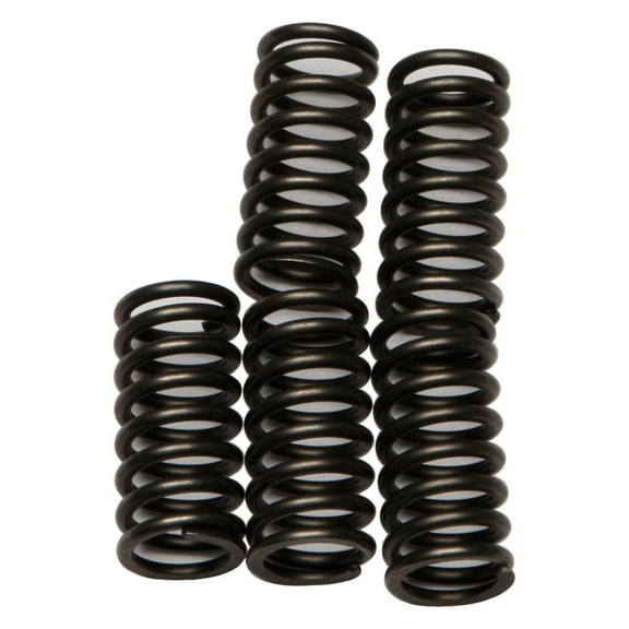 EBC CSK Series Heavy Duty Clutch Spring Kit