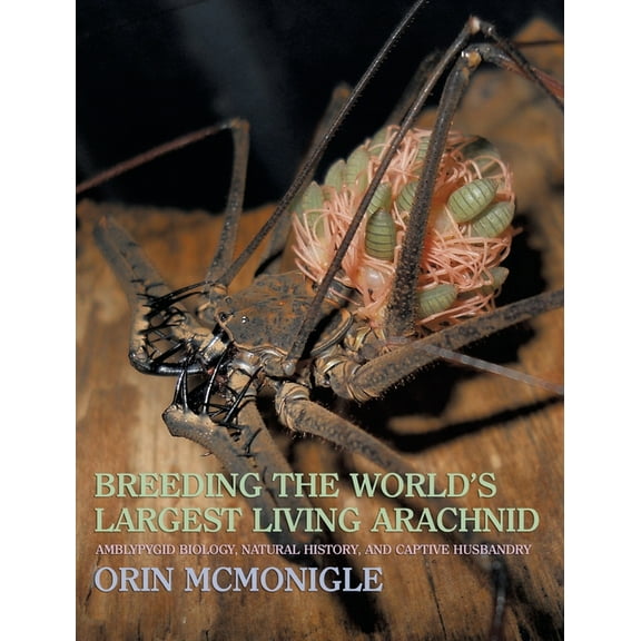 Breeding the World's Largest Living Arachnid: Amblypygid (Whipspider) Biology, Natural History, and Captive Husbandry, (Hardcover)