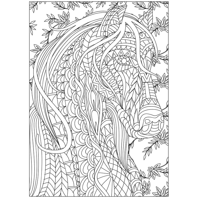 Cra-Z-Art Timeless Creations Adult Coloring Books: Floral Fantasy Creative  Coloring Book (16272-6)