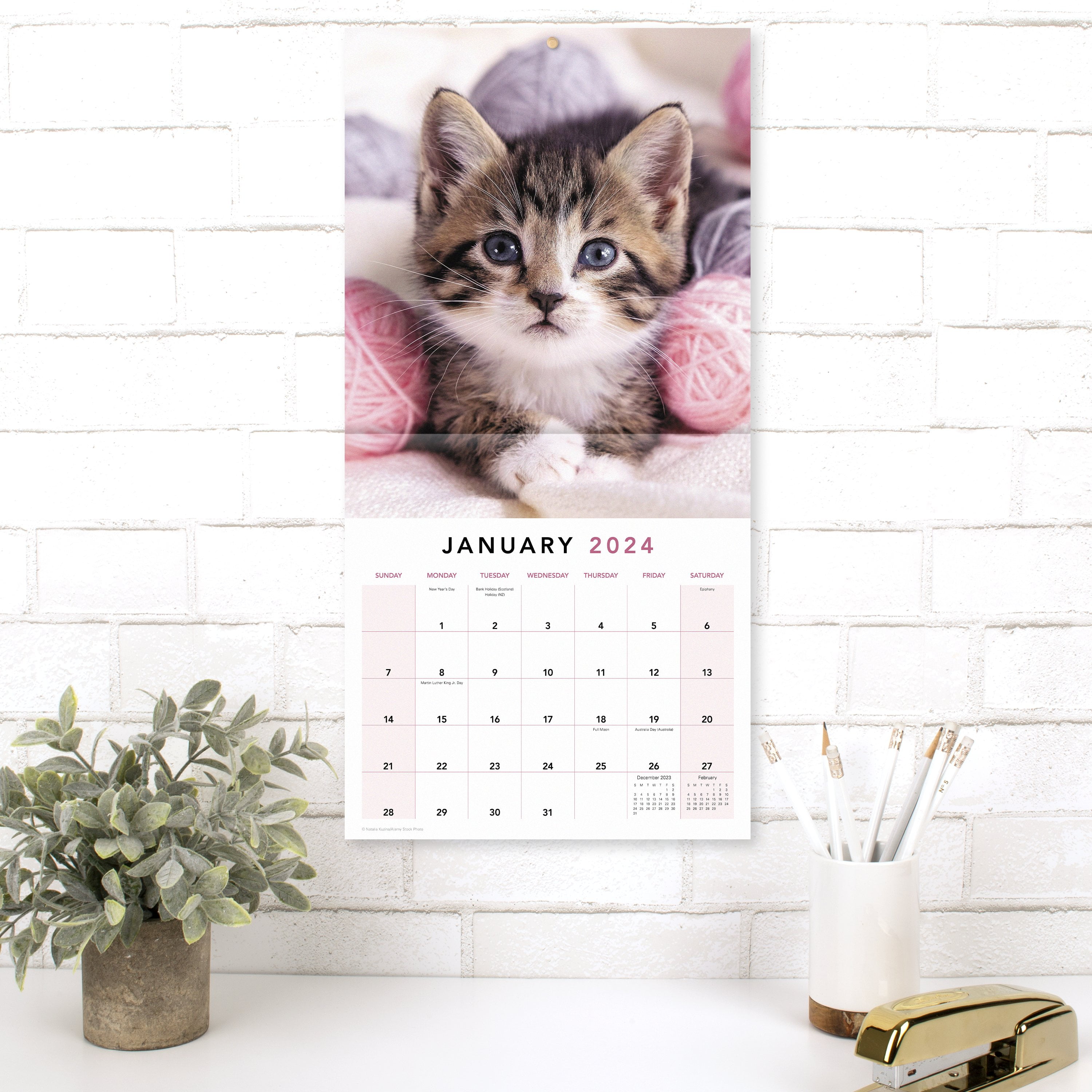 Mead Kittens Wall Calendar