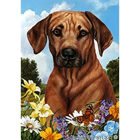 Rhodesian Ridgeback - Best of Breed Summer Flowers Garden Flags