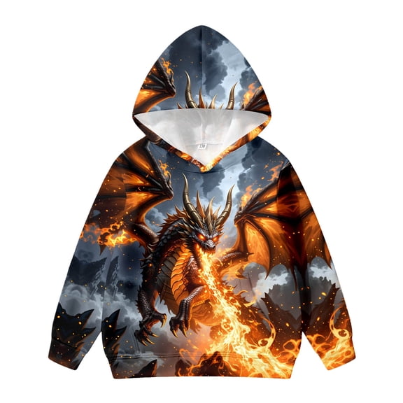Kiijoy Toddler Boys Dragon Graphic Hoodie Lined Long Sleeve Sweatshirt, 4-5 Years