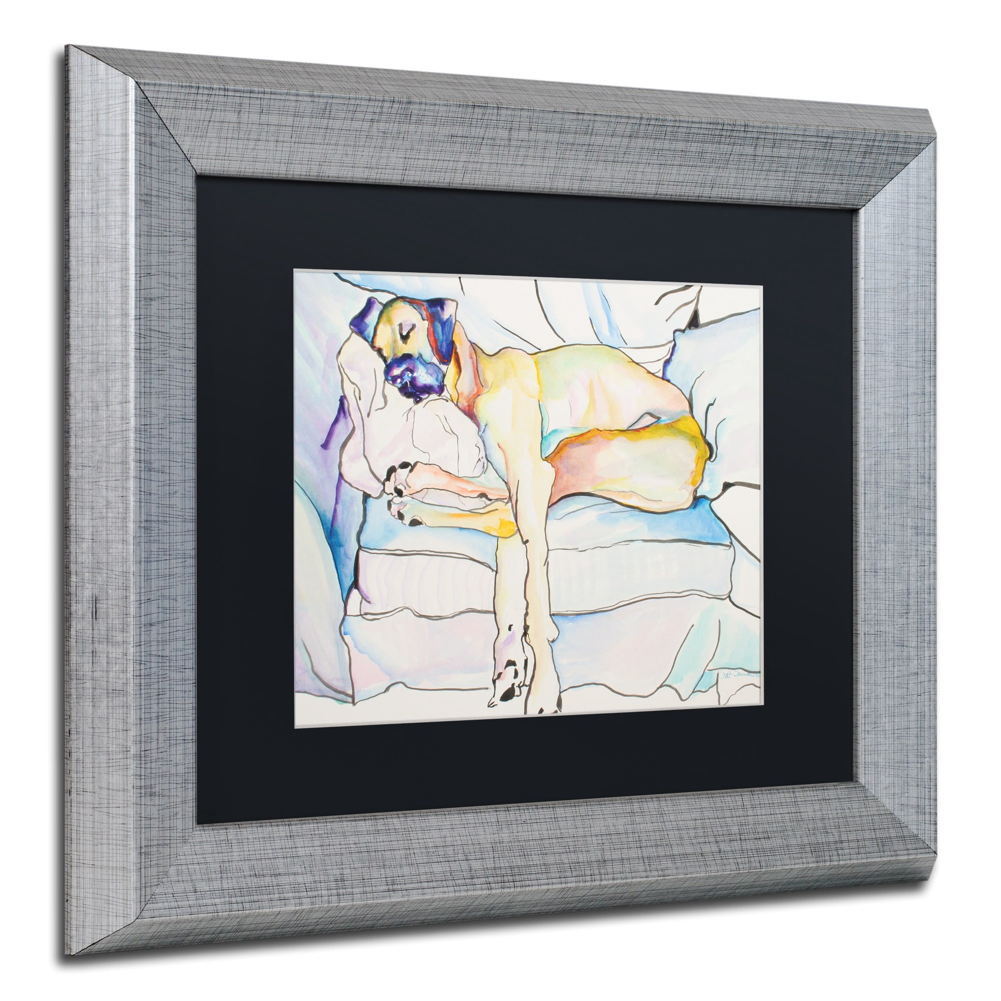 Trademark Fine Art "Sleeping Beauty" Canvas Art by Pat Saunders-White Black Matte, Silver Frame