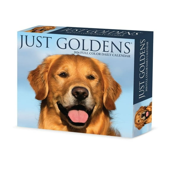 Willow Creek Press, Just Goldens 2026 Desk Calendar, 6.18'' X 5.43'', Daily Calendar with Adhesive Binding
