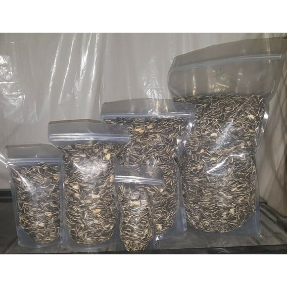 Medium Black SUNFLOWER Seeds UN-SALTED PARROT Bird Hamster Mouse