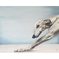 thumbnail image 2 of Coleman, Victoria 24x20 Gold Ornate Wood Framed with Double Matting Museum Art Print Titled - Down Dog, 2 of 4