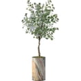thumbnail image 4 of Artificial Tree in Modern Contemporary Planter, Fake Eucalyptus Silk Tree for Indoor and Outdoor Home Decoration - 57" Overall Tall (Plant Pot Plus Tree), 4 of 5