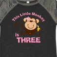 thumbnail image 4 of Inktastic Little Monkey Girl 3rd Birthday Girls Toddler T-Shirt, 4 of 5