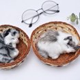 thumbnail image 2 of KAKOWELY Cesta de simulación de gato, juguete de peluche creativo, divertido adorno de escritorio para el hogar y la sala de estar (estilo aleatorio)., 2 of 5