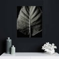 thumbnail image 4 of Nawypu  'Elephant Ear I' by Debra Van Swearingen, Canvas Wall Art,, 4 of 4
