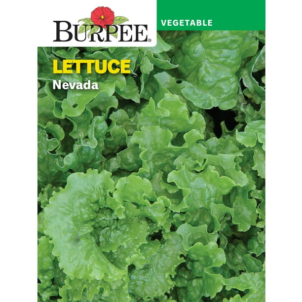 Burpee Nevada Lettuce Vegetable Seed, 1pack