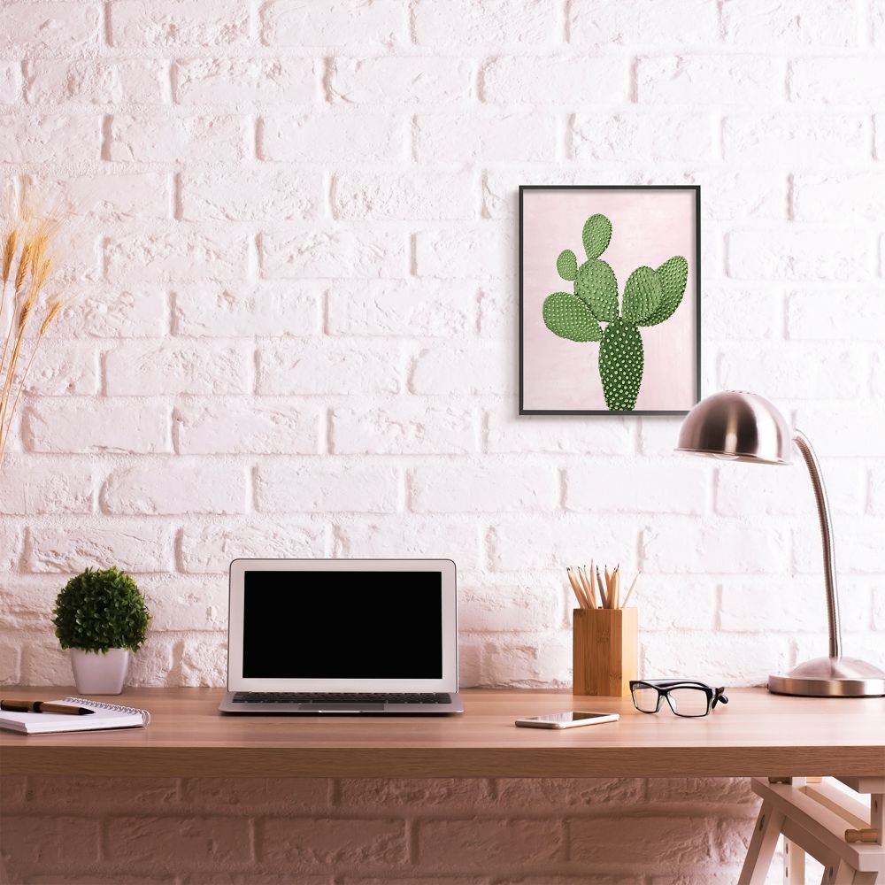 Stupell Industries Prickly Cactus Dessert Plant Nature Succulent Pink Green Framed Wall Art Design by Mia Jensen, 16" x 20", Black Framed