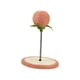 thumbnail image 3 of Juguete para rascar gatos con pelota y campana, juguete interactivo para gatos, rascador para gatos, rascador para gatos pequeños, medianos y grandes, Rosa Fernando Pelota para rascar gatos, 3 of 8