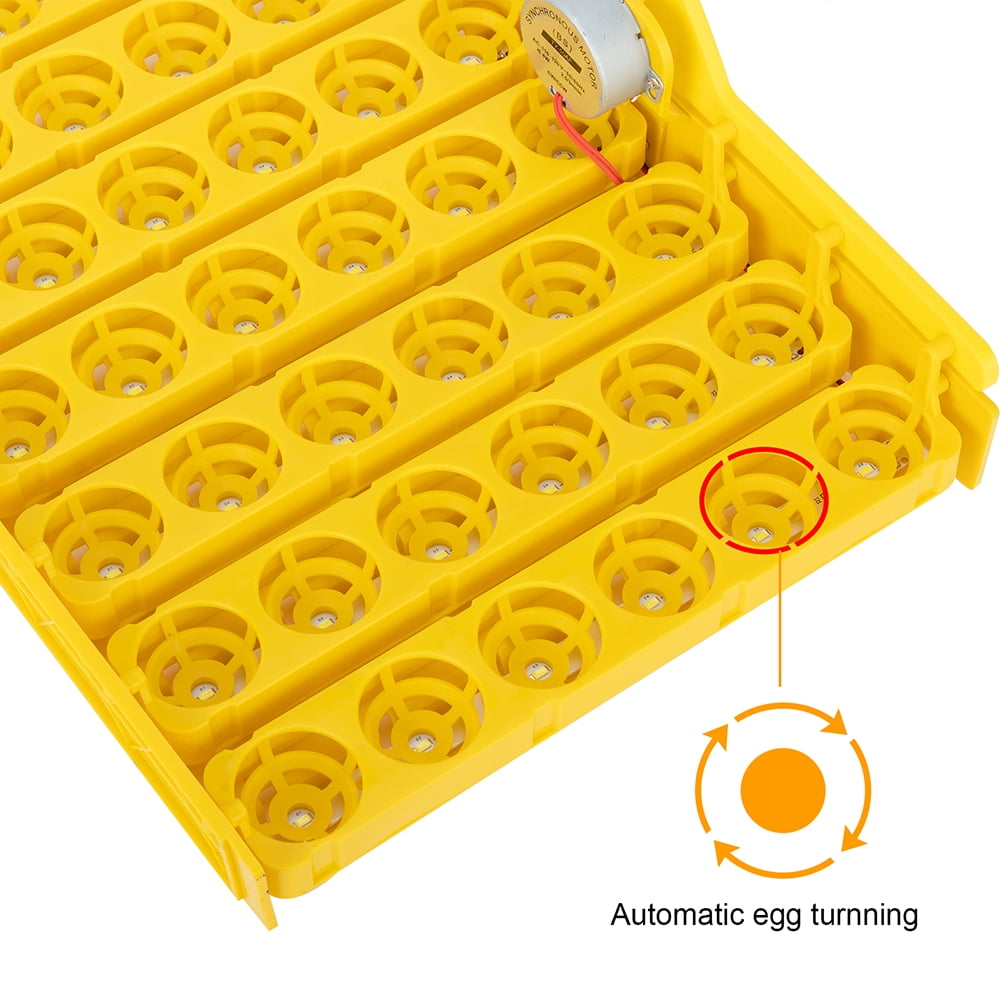 Private Jungle 42-Egg Digital Incubator - wuyule Egg Incubator for Hatching Poultry Hatcher with Fully Automatic Egg Turning, LED Candler, Mini Egg Incubator Breeder Private Jungle 42-Egg Digital Incubator - wuyule Egg Incubator for Hatching Poultry Hatcher with Fully Automatic Egg Turning, LED Candler, Mini Egg Incubator Breeder