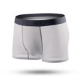 thumbnail image 1 of 2023 New Upgrade Men's Ice Silk Underwear Breathable Soft Ultra-thin Mesh Boxer Briefs gray L, 1 of 5
