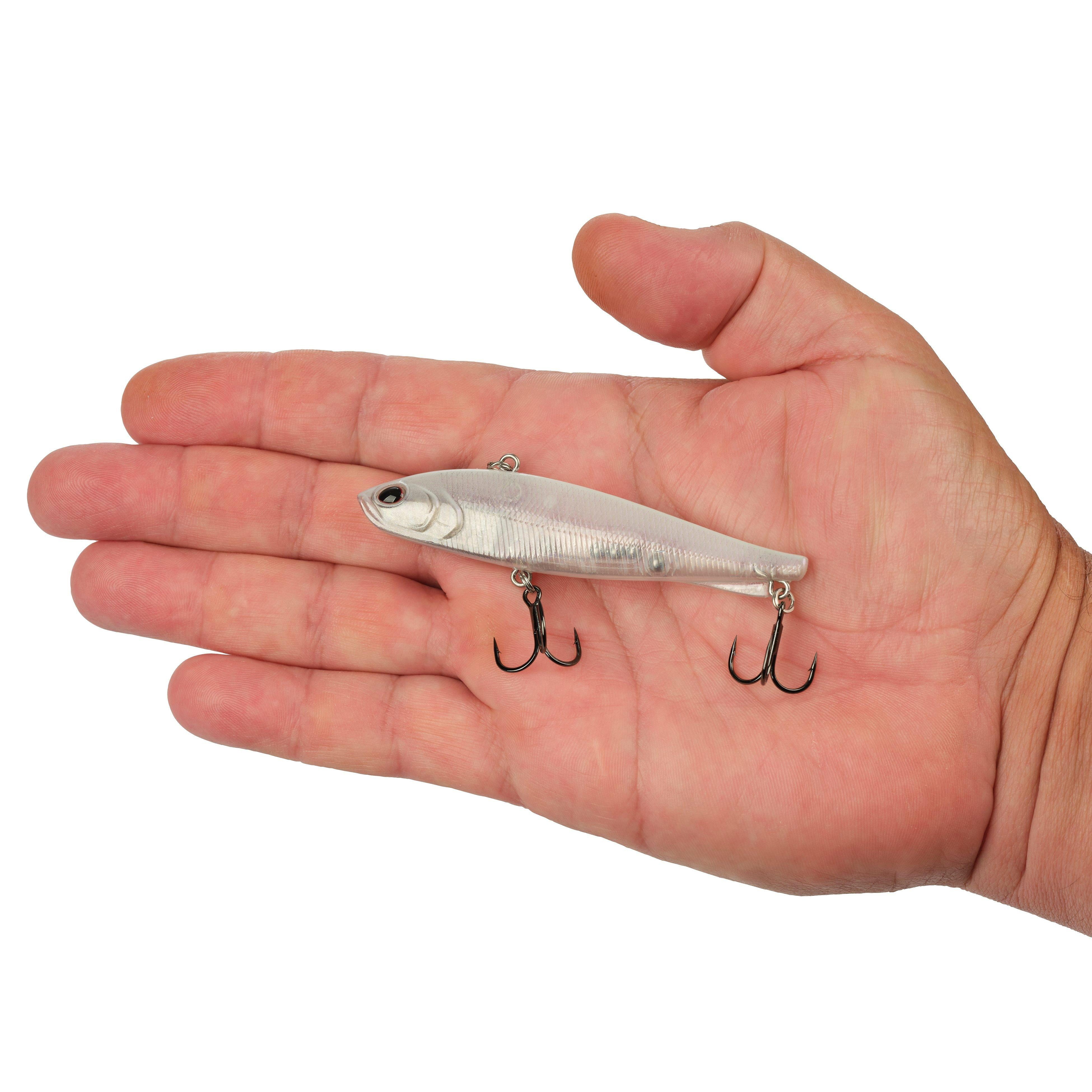 Berkley Ripfish, 9, Broken Glass