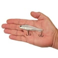 thumbnail image 4 of Berkley Ripfish, 9, Broken Glass, 4 of 5
