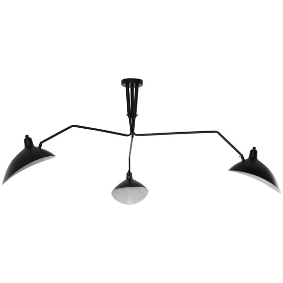 Modern Urban Contemporary Ceiling Fixture, Black Steel