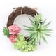thumbnail image 1 of Simulación de traje carnoso, simulación de cabeza de flor, simulación de ramo, simulación de planta, decoraciones para el hogar, 1 of 5