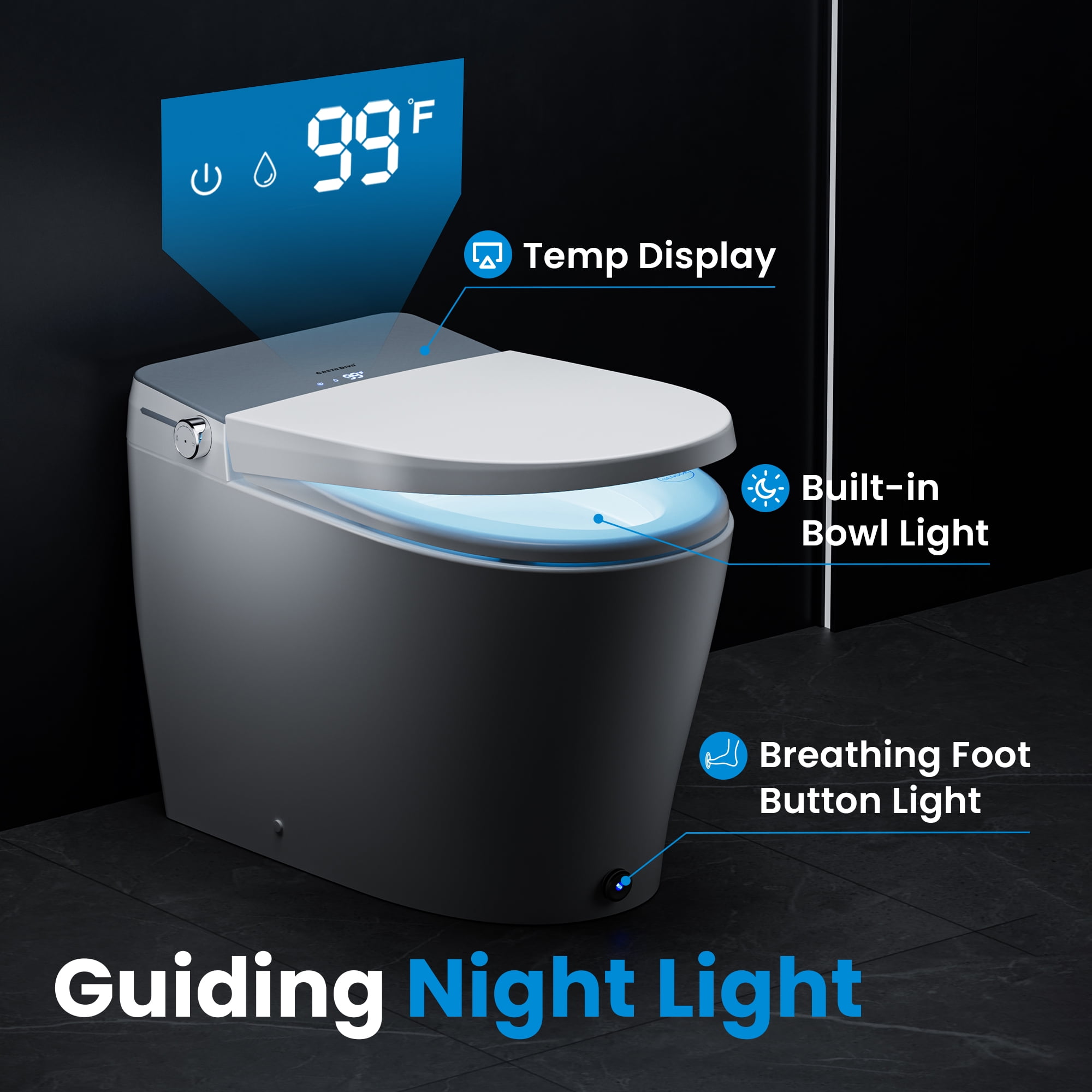 Casta Diva Smart Toilet Elongated Bidet Toilet, Built-in Tank & Pump for Powerful Flush, Auto Open/Close Lid, Heated Seat, Warm Air Dryer, Wireless Remote Control