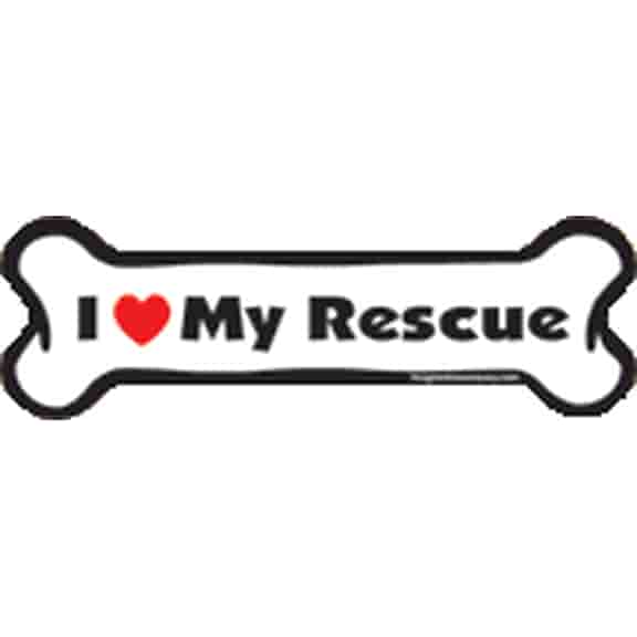 Bone Magnet Style: Beagle