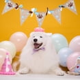thumbnail image 1 of TEHAUX Dog's Footprints Banner Pet Dog Theme Ornament Assorted Color Pennant Shape 1 Set, 1 of 7