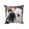 thumbnail image 1 of Bulldog - Velvet Rempli Cushion- Lot De 2, 1 of 1