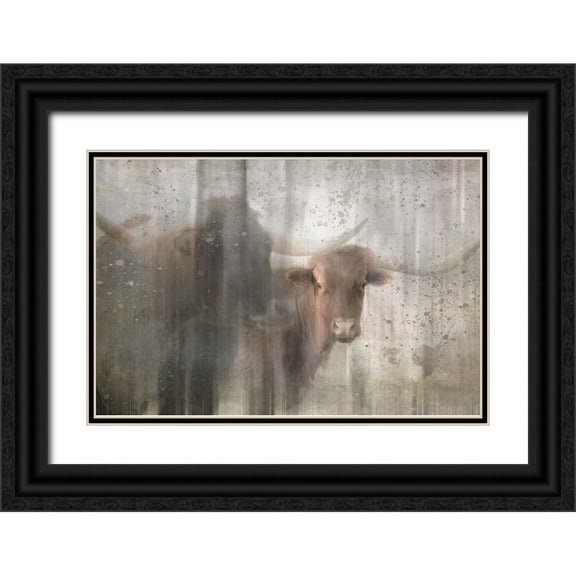 LightBoxJournal 14x11 Black Ornate Wood Framed with Double Matting Museum Art Print Titled - Antique Farm 15
