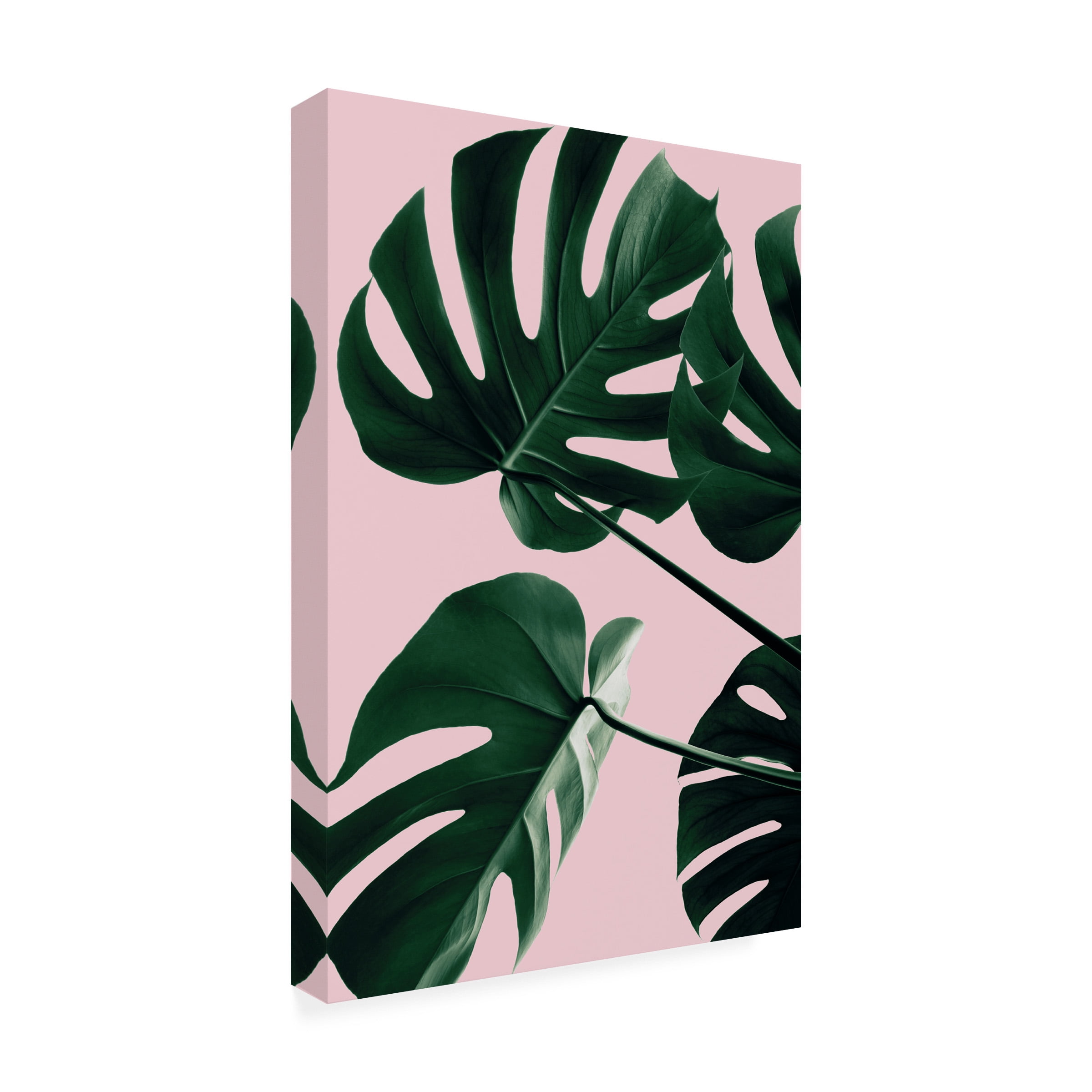 1x Studio III 'Monstera Pink No 08' Canvas Art