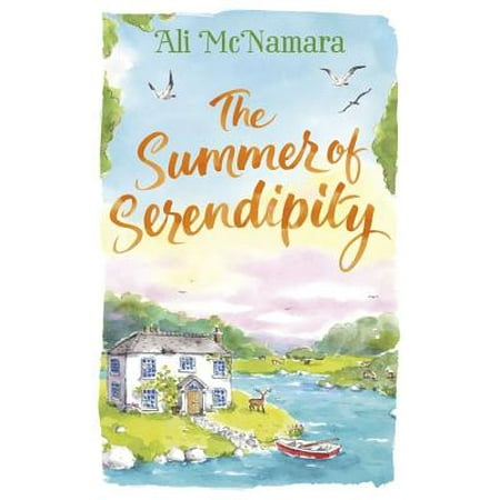 The Summer of Serendipity : The magical feel good perfect holiday