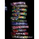thumbnail image 2 of Collar Para Gato, Personalizado Con Identificacion, 2 of 6