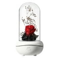 thumbnail image 2 of RKZDSR LED Rose Night Light Aroma Diffuser with Everlasting Silk Rose Flower - Humidifier and Lamp Diffuser Combo, 2 of 6