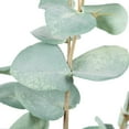 thumbnail image 4 of Vickerman 27" Artificial Green Eucalyptus Spray. Includes 3 sprays per pack., 4 of 8