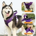 thumbnail image 4 of MASBRILL Reflective Dog Harness No Pull Dog Vest Harness With Handle,No Choke Adjustable Soft Padded Pet Vest for X-Large Dogs,Purple Dog Galters, 4 of 12