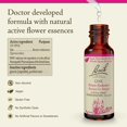 thumbnail image 2 of Esencia floral original de Bach, remedios florales de roble, 10 ml, 2 of 5