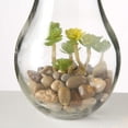 thumbnail image 3 of Edison Light Up Succulent Garden Terrariums, Set of 2, Clear Glass, Pebbles, Plastic and LED Blub, Push-Button On/Off Switch, 9 Inches, Batteries Included, 3 of 9
